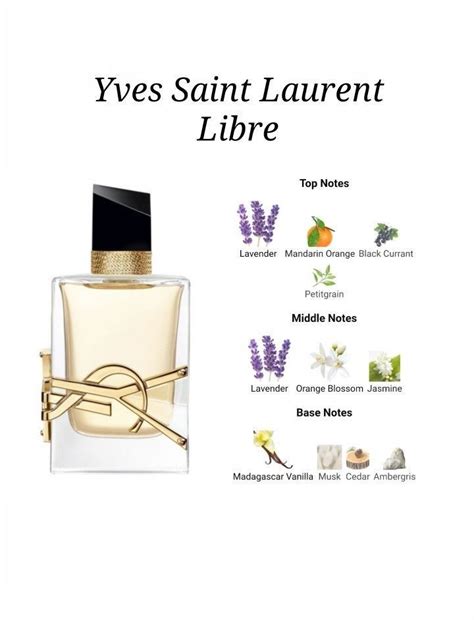 ysl y le parfum top notes|is ysl libre unisex.